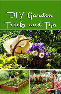 DIY Gardening Tips(圖1)-速報App