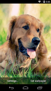 Cute Dogs Live Wallpapers(圖6)-速報App