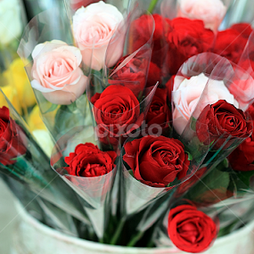 by Yuliani Liputo - Flowers Flower Arangements