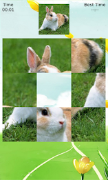 Bunny Puzzle poster 2