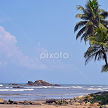 Beach in Sri Lanka by Jaliya Rasaputra -  