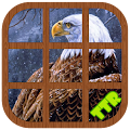 Eagle Sliding Puzzle Apk