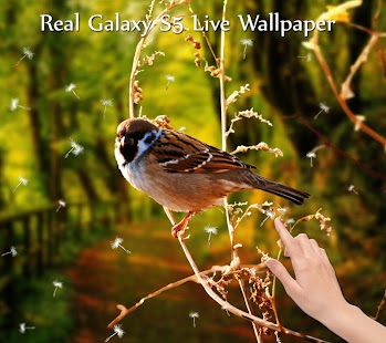 【免費娛樂App】Galaxy S5 Live Wallpaper-APP點子