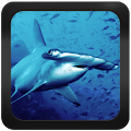 Shark Species: Types of Shark Apk