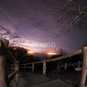 myScape by Ecenk Scooter - Uncategorized All Uncategorized