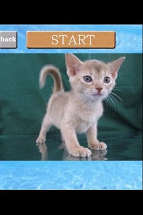How to install puzzle{Cat} lastet apk for bluestacks
