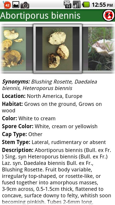 Android application Roger Phillips Mushrooms screenshort