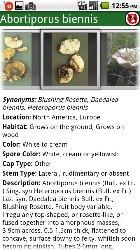 Roger Phillips Mushrooms Screen 1