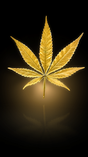How to install Marijuana Live Wallpaper lastet apk for bluestacks