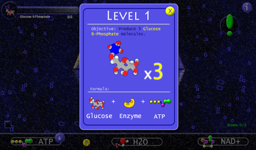  Glycolysis in 10 Minutes  