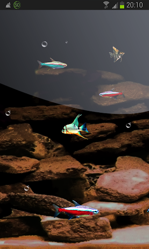 【免費個人化App】Tiny Fish HD LWP FREE Neon-APP點子