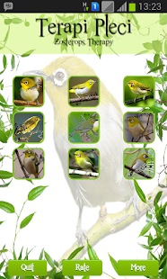 How to get Zosterops Therapy lastet apk for pc