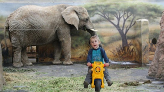 Lastest Kuba motorbike for kids - free APK