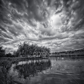 Parque da Paz by Luís Dias - Black & White Landscapes