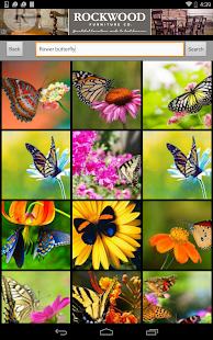download Buterfly Flower for DoodleText free