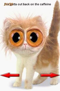 How to install Funny Pictures 2 1.0 mod apk for pc