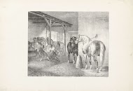 Hoefsmid aan het werk