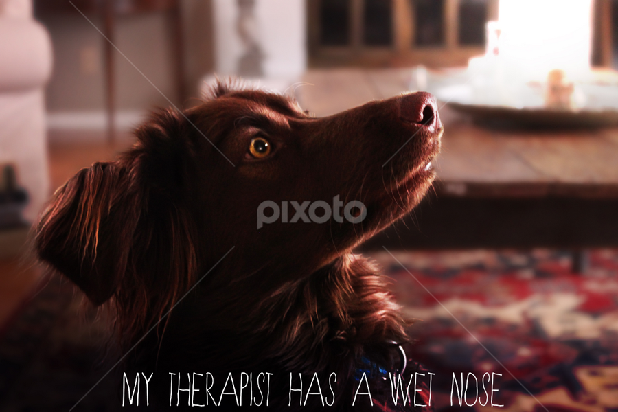 My therapist... by Dave Bernard - Typography Words