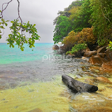 peaceful by Alfonso D.I -  