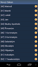 Czech Holy Bible poster 4