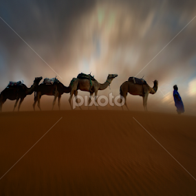 Hypnotic Desert I by Moussa Idrissi - Landscapes Deserts