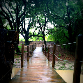 in Luckenbach, Tx by Christie Chambers - Buildings & Architecture Bridges & Suspended Structures