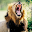 Sounds of the African Bushveld Download on Windows
