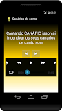 Canto de canarios