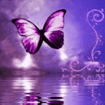 Purple Butterfly Reflected In Apk