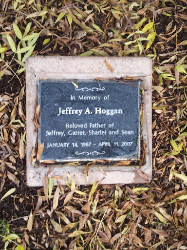 Jeffrey A. Hoggan
