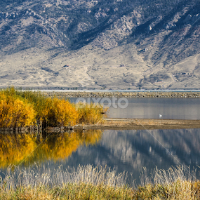 Autumn Reflections by Stacey Atkinson - Landscapes Waterscapes