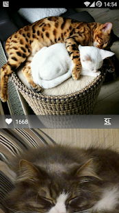 Cotolog(圖1)-速報App