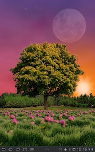 How to mod Summer Trees Live Wallpaper 1.20 unlimited apk for pc