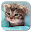 Little Cat Live Wallpaper Download on Windows