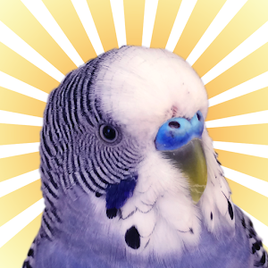 Parakeet Pal 1.0.0