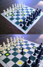 The Ulti-Mate Chess Game Rules poster 4