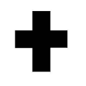 Trauma evaluator logo