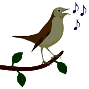 Bird Songs Ringtones 1.0 Icon