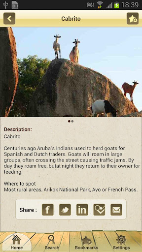 免費下載旅遊APP|Aruba eGuide app開箱文|APP開箱王