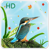 Bubble shooter 10