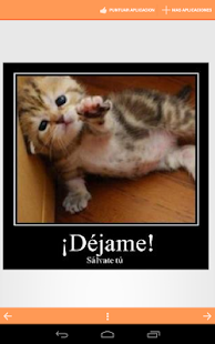 How to download Imagenes Graciosas de Gatos lastet apk for bluestacks