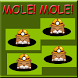 Hit a Mole!!