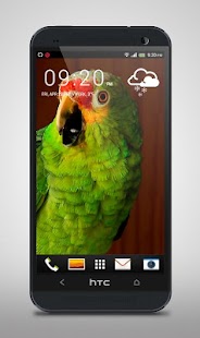 How to mod Green Parrot Live Wallpaper 1.1 apk for android