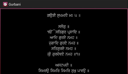 Nitnem & Sukhmani Sahib App poster 4