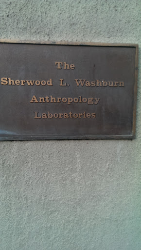 The Anthropology Labs At Hearst Gym
