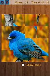 鳥類拼圖(圖3)-速報App