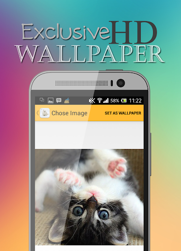 【免費個人化App】Cute Cat HD Wallpaper-APP點子