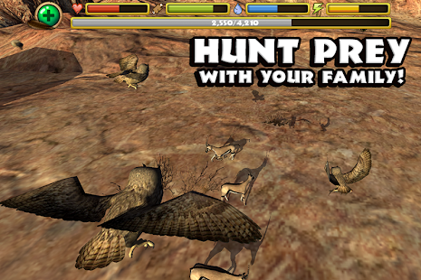 Owl Simulator(圖5)-速報App