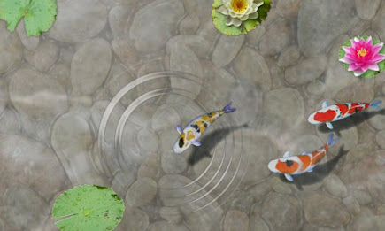Feed the Koi fish Kids Game poster 2