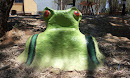 צפרדע בכפר הירוק
